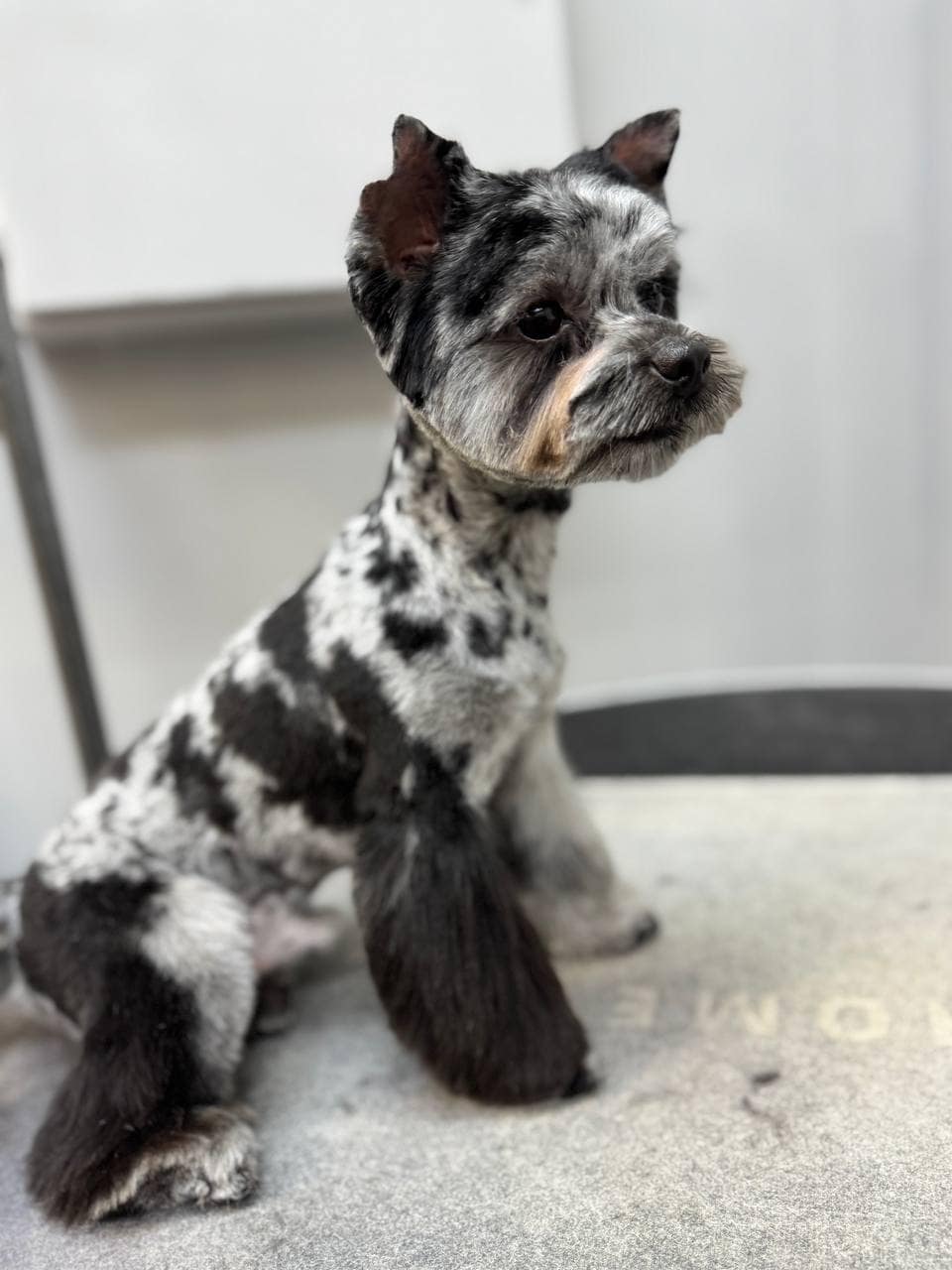 photo_2025-03-05_00-10-01