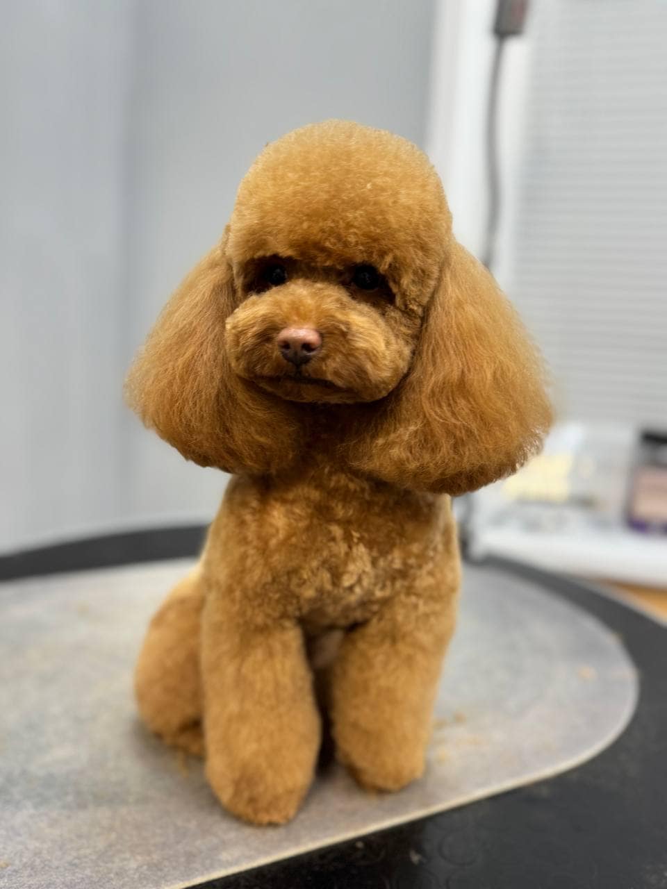 photo_2025-03-06_07-28-35