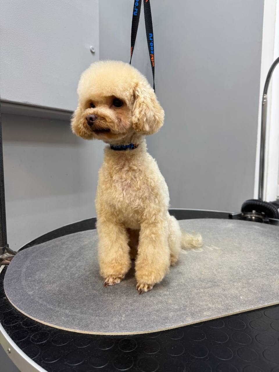 photo_2025-03-06_09-05-55