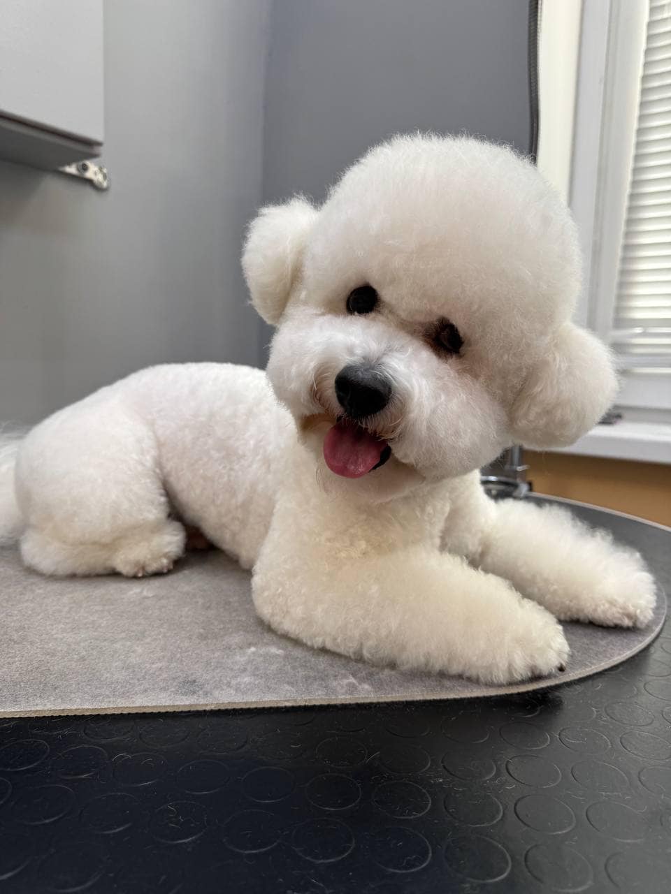 photo_2025-03-06_09-05-58