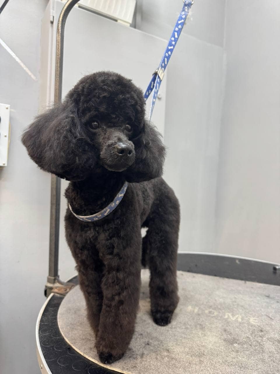 photo_2025-03-06_09-09-33