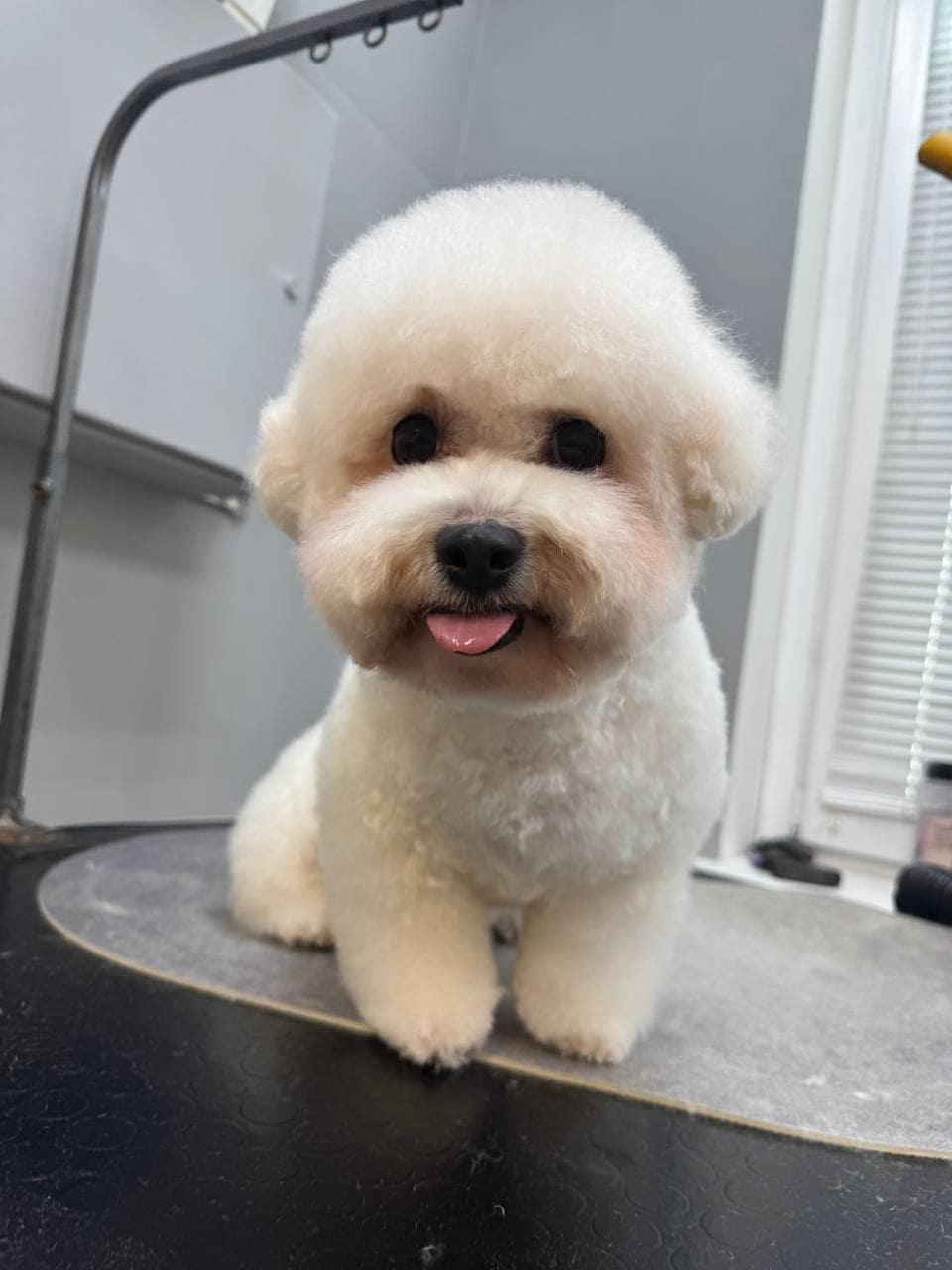 photo_2025-03-06_09-09-34 (2)