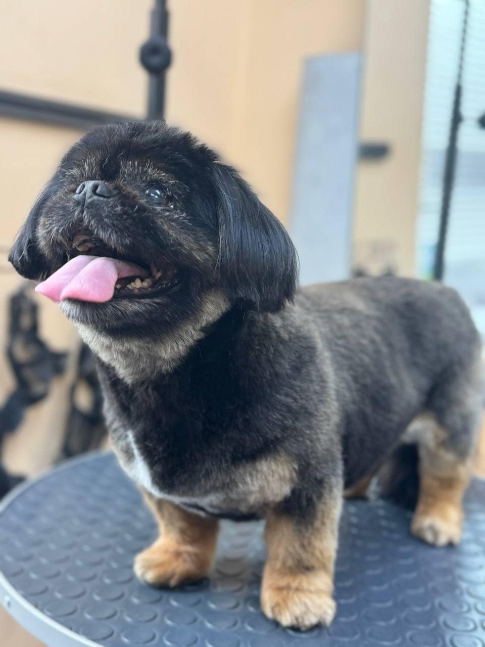 photo_2025-03-06_09-09-35