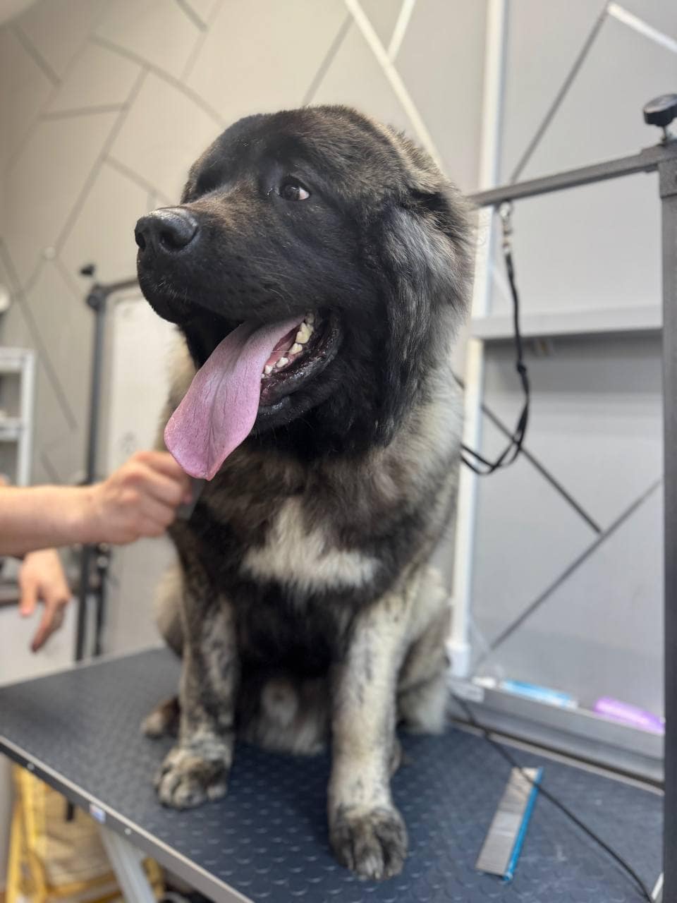 Большой мальчик1